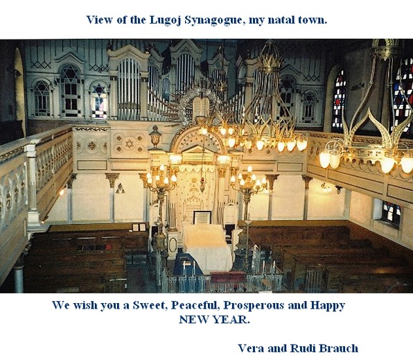 lugoj_sinagoga